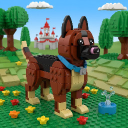 belgium shepard malinois