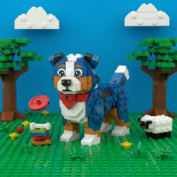 Australian sheppard