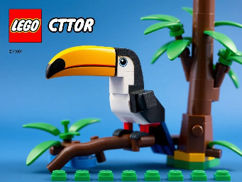 Un tucan típico de costa rica